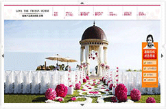 愛情木馬婚慶策劃公司