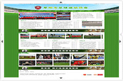 阜陽市足球運動協會